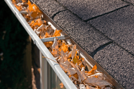 How To Keep Leaves Out Of Your Gutters: Effective Solutions