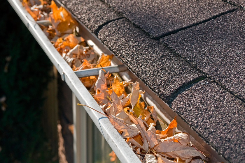 How To Keep Leaves Out Of Your Gutters: Effective Solutions
